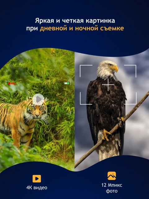 Cyfrowa lornetka noktowizyjna Levenhuk Halo 13X Helmet Cyfrowa lornetka noktowizyjna Levenhuk Halo 13X Helmet