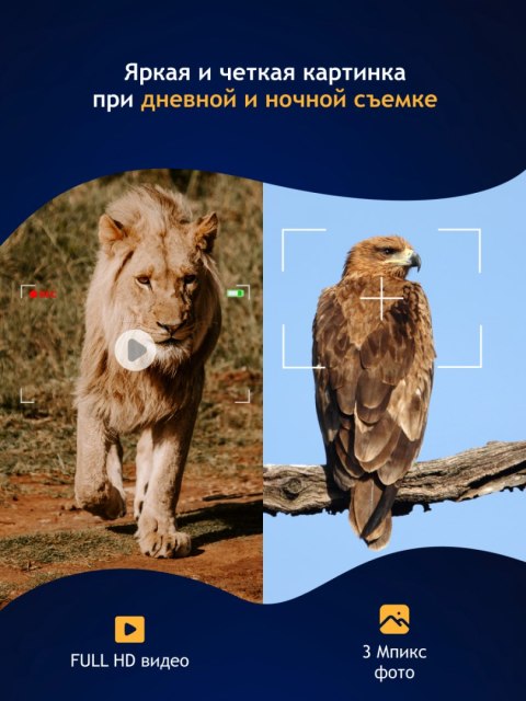 Cyfrowa lornetka noktowizyjna Levenhuk Halo 13X Cyfrowa lornetka noktowizyjna Levenhuk Halo 13X