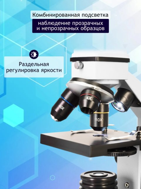 (RU) Mikroskop Levenhuk Rainbow 2L PLUS Moonstone\Kamień Księżycowy (RU) Mikroskop Levenhuk Rainbow 2L PLUS Moonstone\Kamień Księżycowy