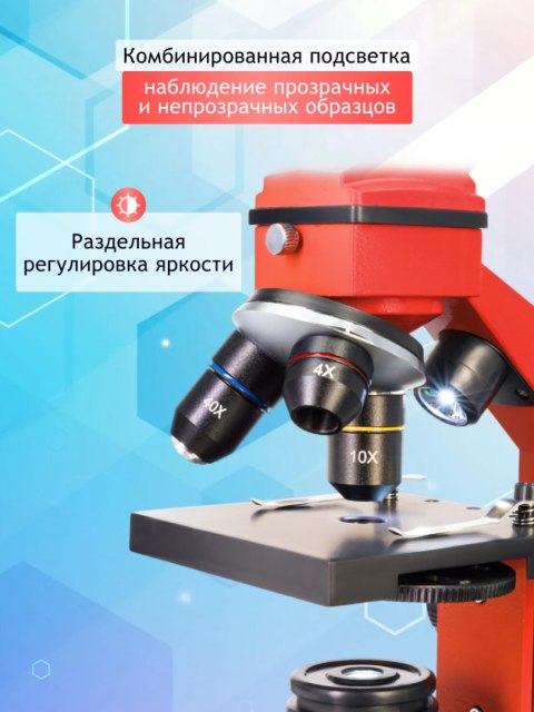 (RU) Mikroskop Levenhuk Rainbow 2L PLUS Orange\Pomarańcza (RU) Mikroskop Levenhuk Rainbow 2L PLUS Orange\Pomarańcza