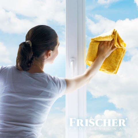 Płyn do mycia szyb Frischer z funkcją antypary 1l Płyn do mycia szyb Frischer z funkcją antypary 1l