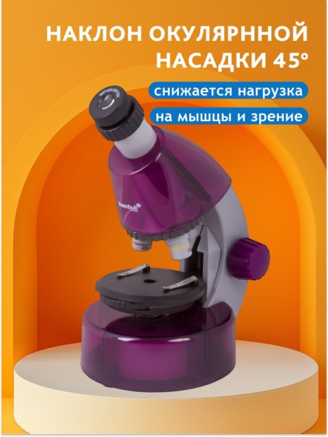 (RU) Mikroskop Levenhuk LabZZ M101 Amethyst\Ametyst