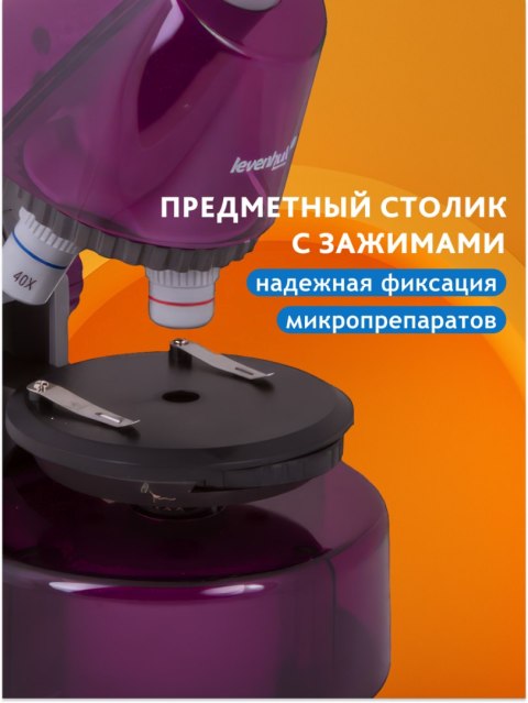 (RU) Mikroskop Levenhuk LabZZ M101 Amethyst\Ametyst