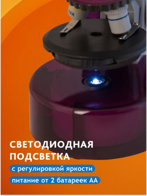 (RU) Mikroskop Levenhuk LabZZ M101 Amethyst\Ametyst