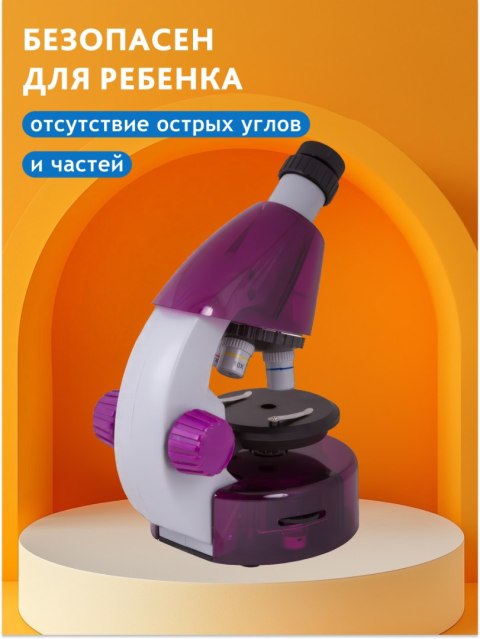 (RU) Mikroskop Levenhuk LabZZ M101 Amethyst\Ametyst