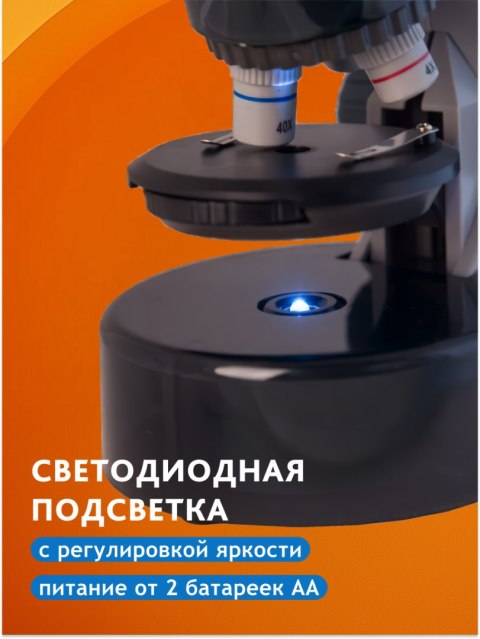 (RU) Mikroskop Levenhuk LabZZ M101 Moonstone\Kamień Księżycowy