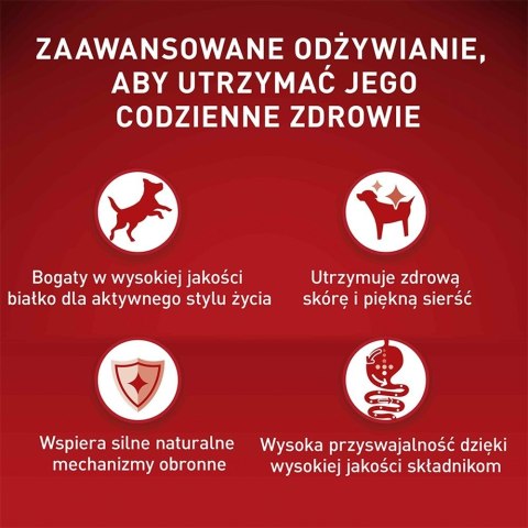 Karma One Mini Adult bogata w wołowinę z ryżem 800g Karma One Mini Adult bogata w wołowinę z ryżem 800g