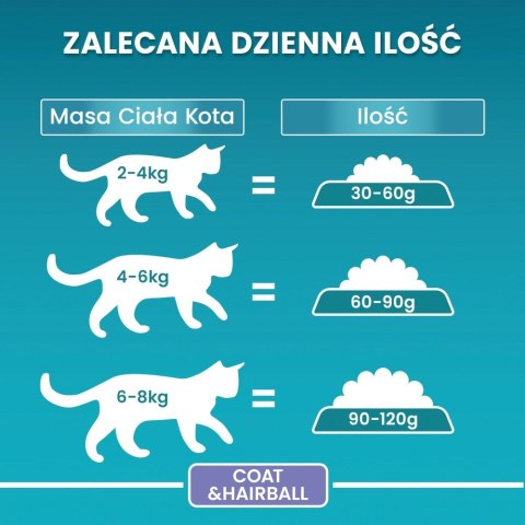 PURINA ONE Coat & Hairball Bogata w Kurczaka i Pełne Ziarna 800g PURINA ONE Coat & Hairball Bogata w Kurczaka i Pełne Ziarna 800g