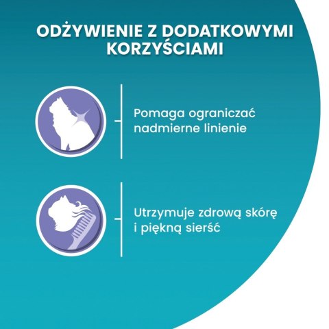 PURINA ONE Coat & Hairball Bogata w Kurczaka i Pełne Ziarna 800g PURINA ONE Coat & Hairball Bogata w Kurczaka i Pełne Ziarna 800g