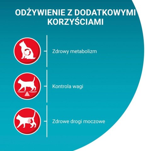 PURINA ONE Sterilcat Bogata w Wołowinę i Pszenicę 800g PURINA ONE Sterilcat Bogata w Wołowinę i Pszenicę 800g