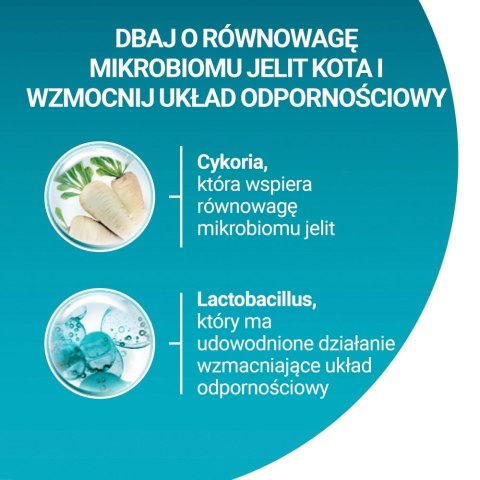 PURINA ONE Sterilcat Bogata w Wołowinę i Pszenicę 800g PURINA ONE Sterilcat Bogata w Wołowinę i Pszenicę 800g