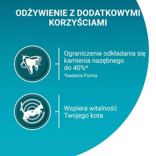 Purina ONE Adult Bogata w Kurczaka i Pełne Ziarna 800g
