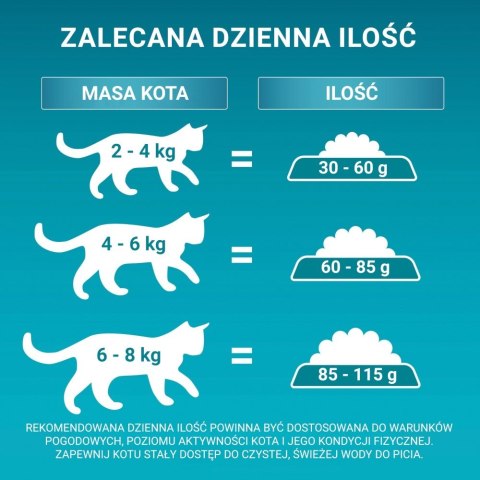 Purina ONE Adult Bogata w Kurczaka i Pełne Ziarna 800g