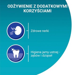 Purina ONE SENIOR 7+ Bogata w Kurczaka i Pełne Ziarna 800g