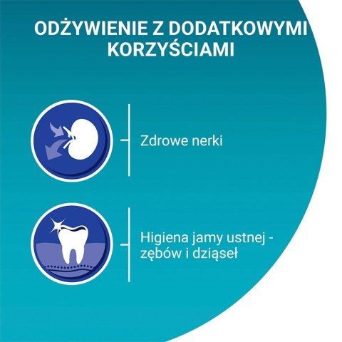 Purina ONE SENIOR 7+ Bogata w Kurczaka i Pełne Ziarna 800g Purina ONE SENIOR 7+ Bogata w Kurczaka i Pełne Ziarna 800g