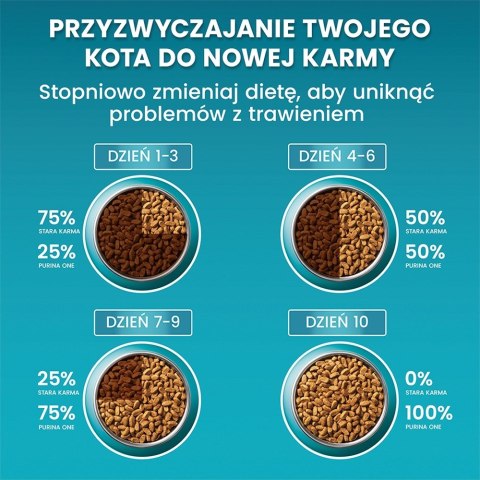 Purina ONE SENIOR 7+ Bogata w Kurczaka i Pełne Ziarna 800g Purina ONE SENIOR 7+ Bogata w Kurczaka i Pełne Ziarna 800g