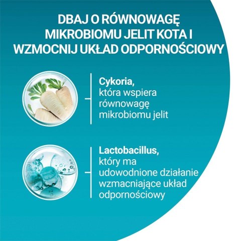Purina ONE SENIOR 7+ Bogata w Kurczaka i Pełne Ziarna 800g Purina ONE SENIOR 7+ Bogata w Kurczaka i Pełne Ziarna 800g