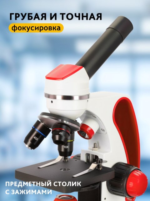 (RU) Mikroskop Discovery Pico Terra z książką (RU) Mikroskop Discovery Pico Terra z książką