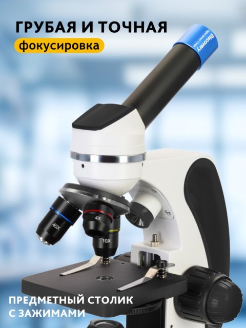 (RU) Mikroskop cyfrowy Discovery Pico Polar z książką (RU) Mikroskop cyfrowy Discovery Pico Polar z książką