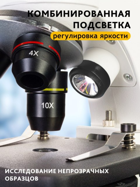 (RU) Mikroskop cyfrowy Discovery Pico Polar z książką (RU) Mikroskop cyfrowy Discovery Pico Polar z książką
