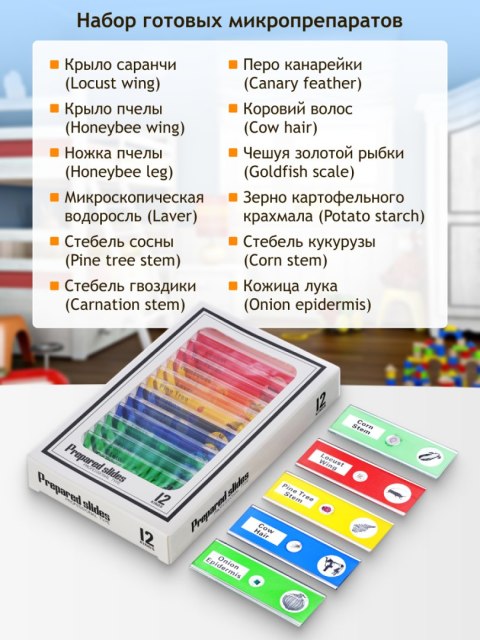 Mikroskop cyfrowy Levenhuk LabZZ DM200 LCD