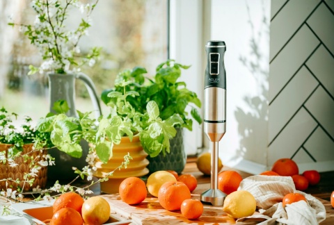 Blender Ręczny z Funkcją Turbo i Kruszenia Lodu