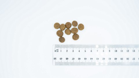 BULT Karma sucha z jagnię. dla psów małych ras 3kg BULT Karma sucha z jagnię. dla psów małych ras 3kg