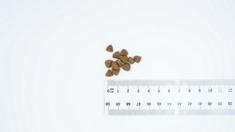 BULT Karma sucha z kaczką i indykiem szczeniąta 3kg BULT Karma sucha z kaczką i indykiem szczeniąta 3kg