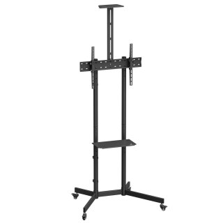 Stand wózek do TV Maclean, półka na kamerę, na kółkach, 37-70", max. obciążenie 45kg/5kg półka, max. VESA 600x400, MC-113 B