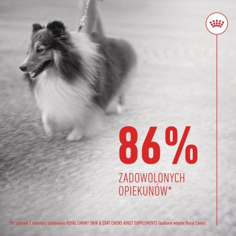 ROYAL CANIN Skin & Coat Adult Dog Supplements 240g