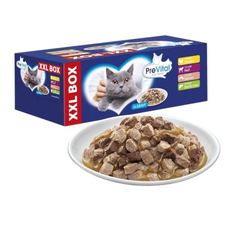 PREVITAL - Z kurczakiem, cielęciną, łososiem i wątróbką w sosie - karma dla kota 48x100g PREVITAL - Z kurczakiem, cielęciną, łososiem i wątróbką w sosie - karma dla kota 48x100g