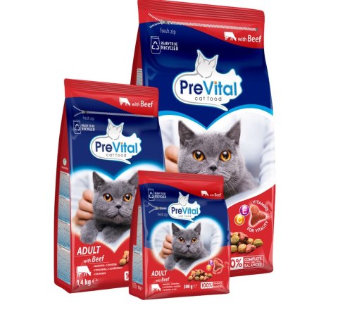 PREVITAL wołowina karma sucha dla kotów 300g