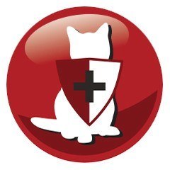 PREVITAL wołowina karma sucha dla kotów 300g