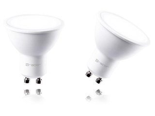 Żarówka LED Tracer GU10 6W=42W ciepła jasna, 2 pack
