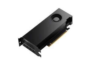 Karta graficzna PNY NVIDIA RTX 4000 SFF Ada Generation 20GB GDDR6 (VCNRTX4000ADALP-PB)