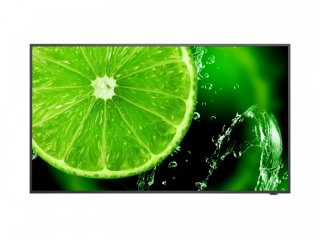 Monitor NEC 60006113 (32" /TFT IPS /60Hz /1920 x 1080 /Czarny )