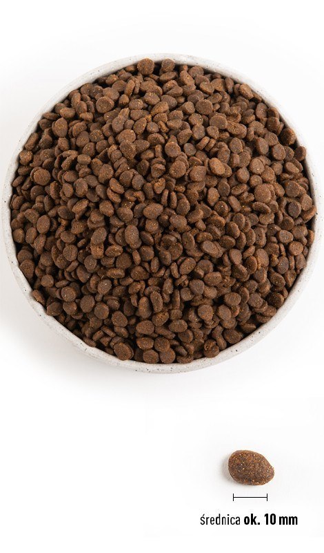 ORIJEN Regional Red Cat 340g