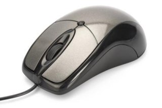 Mysz przewodowa EDNET optyczna 800dpi srebrno-czarna