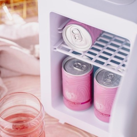 Mini lodówka 4L | Chłodzenie i podgrzewanie | Do domu i samochodu | System Peltiera