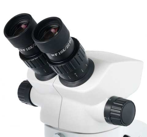 Dwuokularowy mikroskop Levenhuk ZOOM 1B