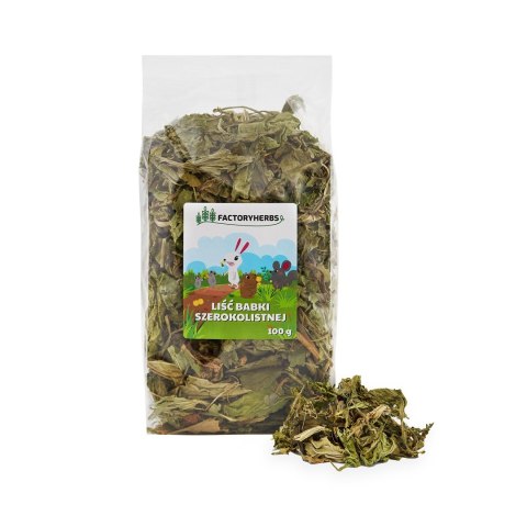 FACTORYHERBS Liść babki szerokolistnej 100 g FACTORYHERBS Liść babki szerokolistnej 100 g