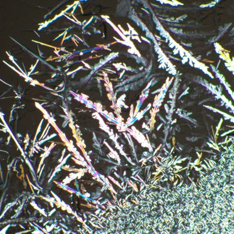 Zestaw polaryzator/analizator MAGUS SPD1