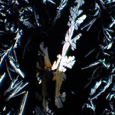 Zestaw polaryzator/analizator MAGUS SPD1