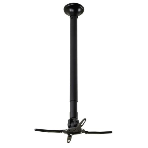 Uchwyt na projektor BEAMER-C350BLACK Neomounts by Newstar 12 kg Czarny Uchwyt na projektor BEAMER-C350BLACK Neomounts by Newstar 12 kg Czarny
