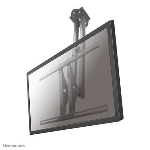 Uchwyt sufitowy do ekranów Neomounts by PLASMA-C100 37"-75" Vesa 800x450 max 50 kg Silver Uchwyt sufitowy do ekranów Neomounts by PLASMA-C100 37"-75" Vesa 800x450 max 50 kg Silver