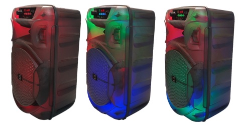 GŁOŚNIK DEFENDER BOOMER 12 BLUETOOTH 15W