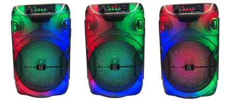 GŁOŚNIK DEFENDER BOOMER 12 BLUETOOTH 15W