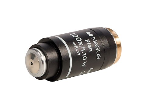 Obiektyw MAGUS 100PL60 W Plan 100х/1,10 ∞/0,17 H60 mm