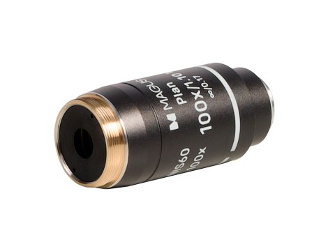Obiektyw MAGUS 100PL60 W Plan 100х/1,10 ∞/0,17 H60 mm