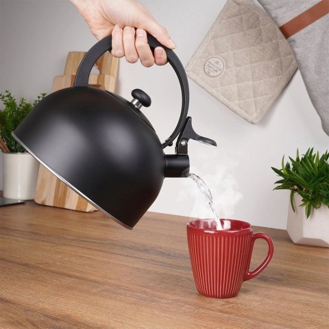 Czajnik z gwizdkiem stalowy czarny 3 l